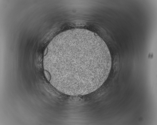 X0000110720866200907101402