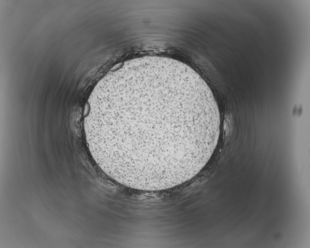 X0000110720867200907101402