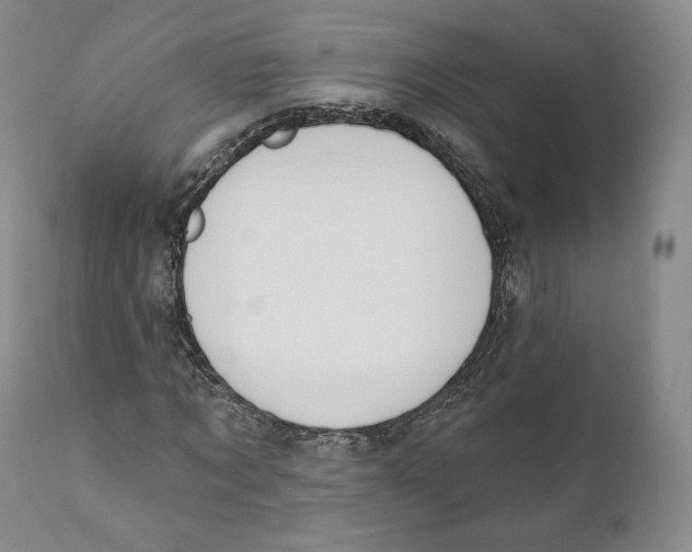 X0000110720869200907101402