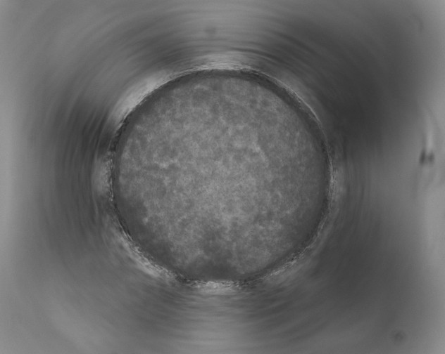 X0000110720874200907101401