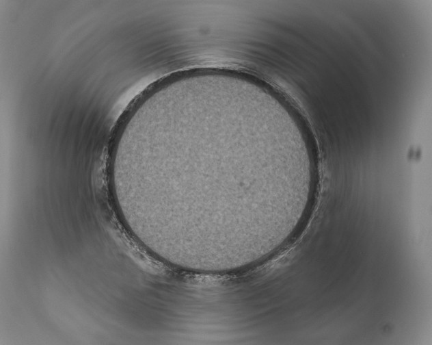 X0000110720875200907101401