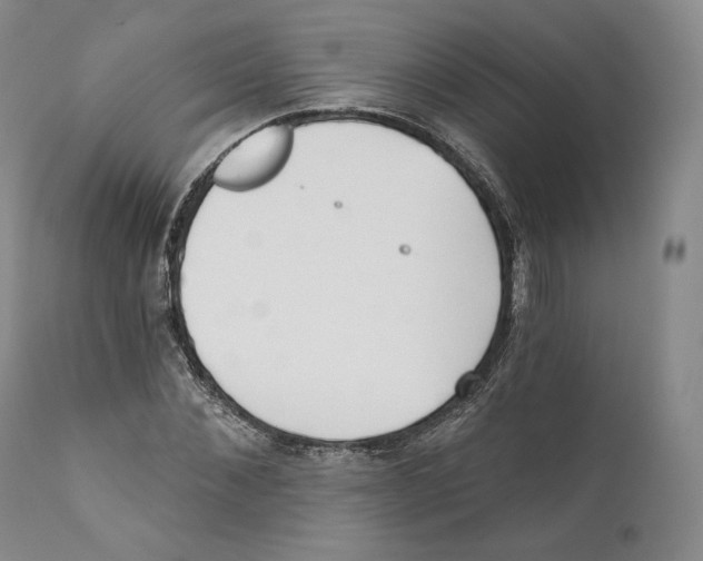 X0000110720876200907101401