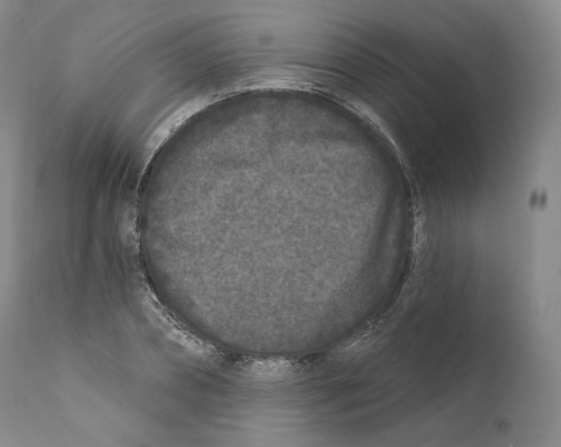 X0000110720882200907101401