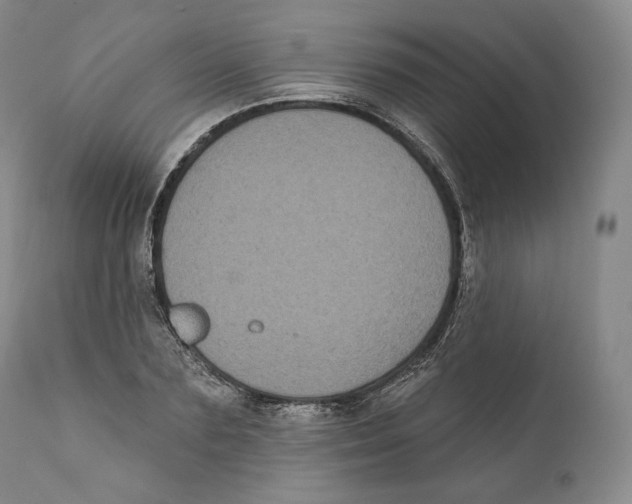 X0000110720883200907101401