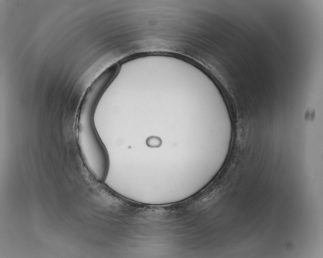 X0000110720885200907101401