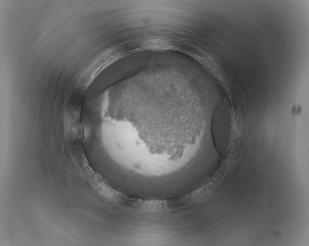 X0000110720889200907101401