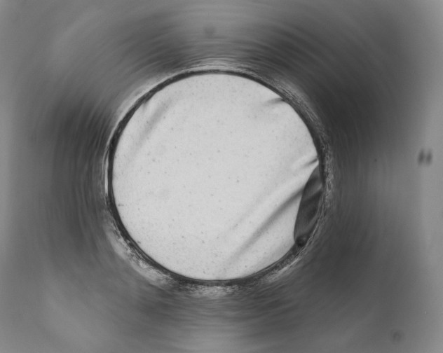 X0000110720892200907101401