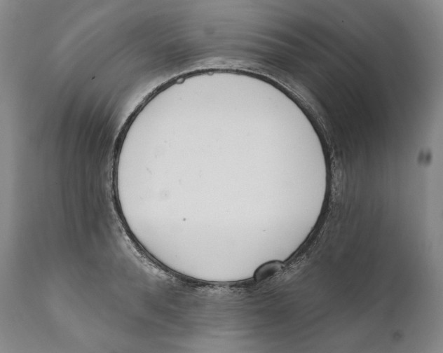 X0000110720896200907101401