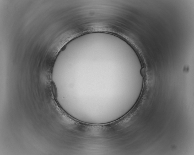 X0000110720897200907101401