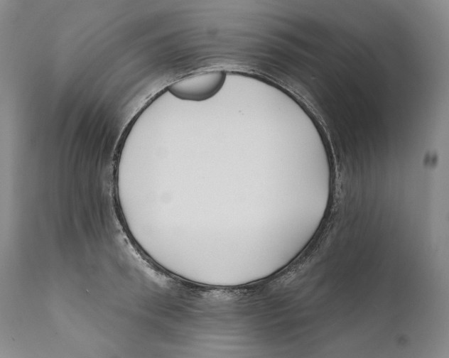 X0000110720898200907101401