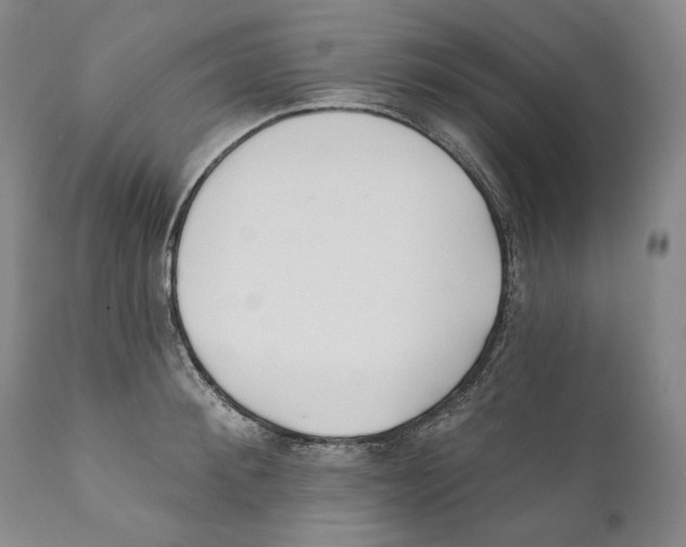 X0000110720900200907101401