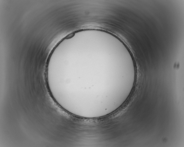 X0000110720901200907101401