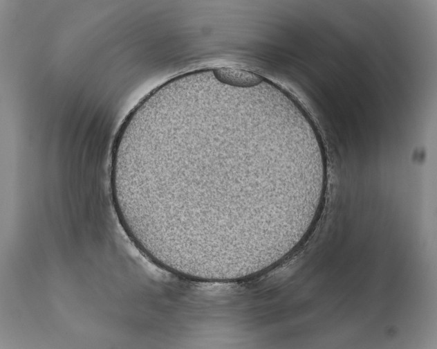 X0000110720902200907101401