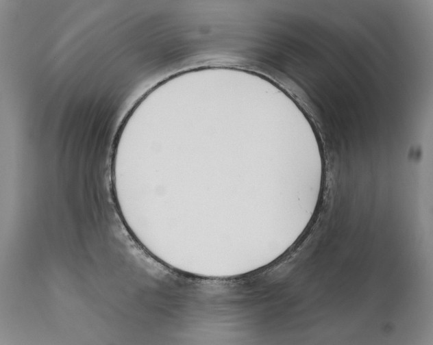 X0000110720904200907101401