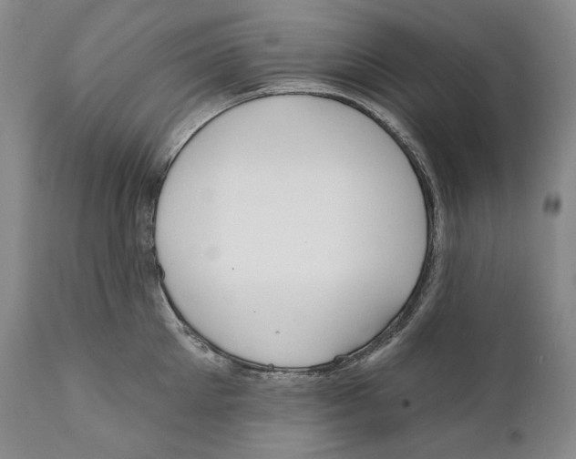 X0000110720905200907101401