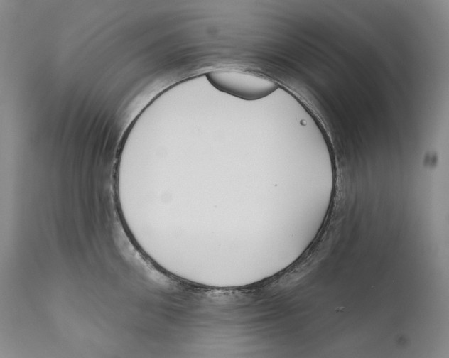 X0000110720906200907101401