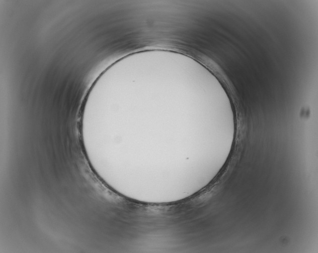 X0000110720908200907101401