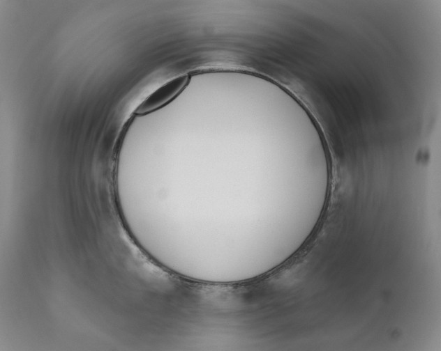 X0000110720909200907101401