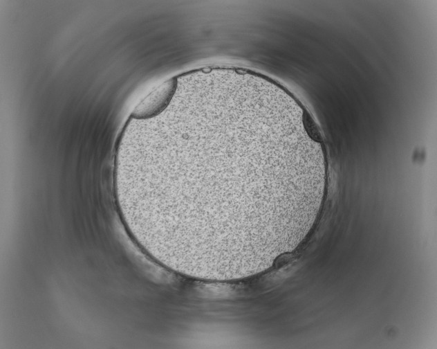 X0000110720911200907101401