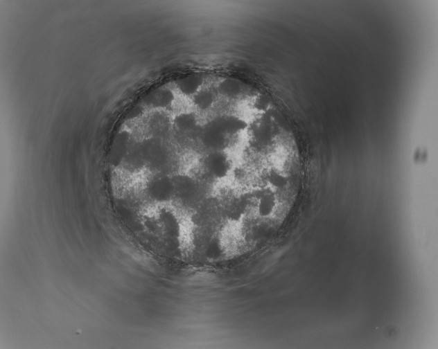 X0000110720913200907101400