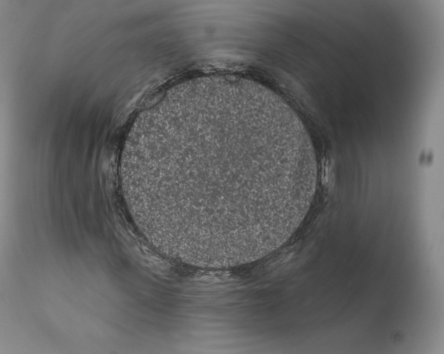 X0000110720915200907101400