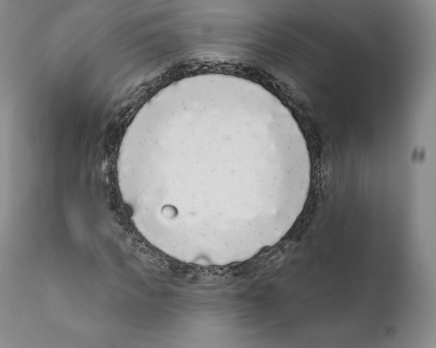 X0000110720917200907101400