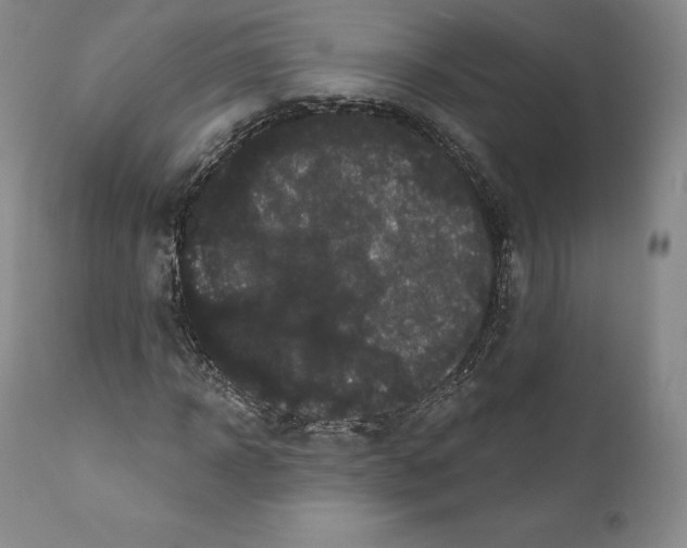 X0000110720918200907101400