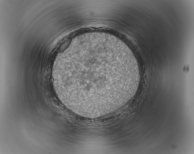 X0000110720920200907101400