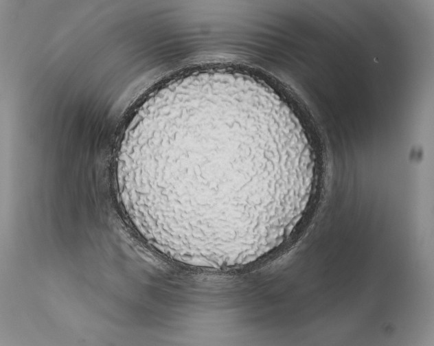 X0000110720921200907101400