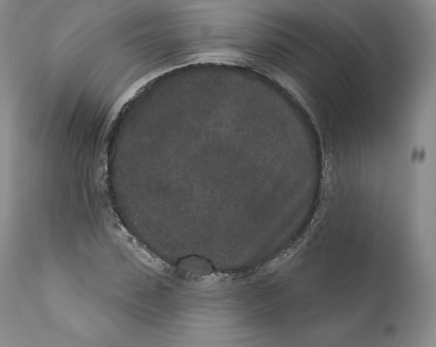 X0000110720923200907101400