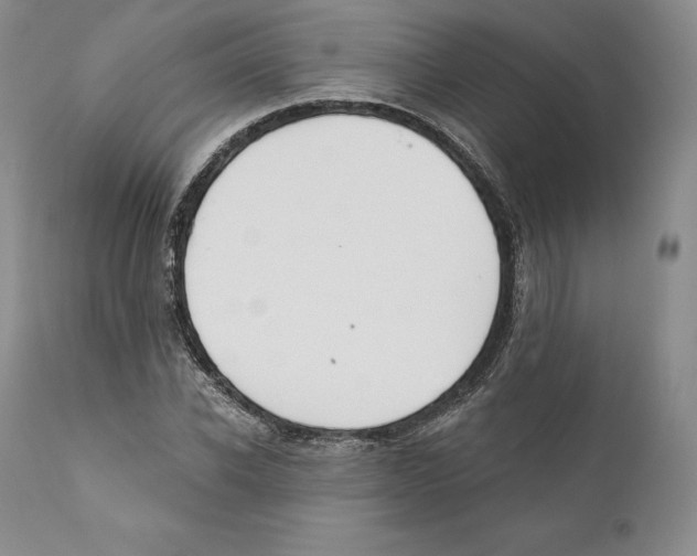 X0000110720926200907101400