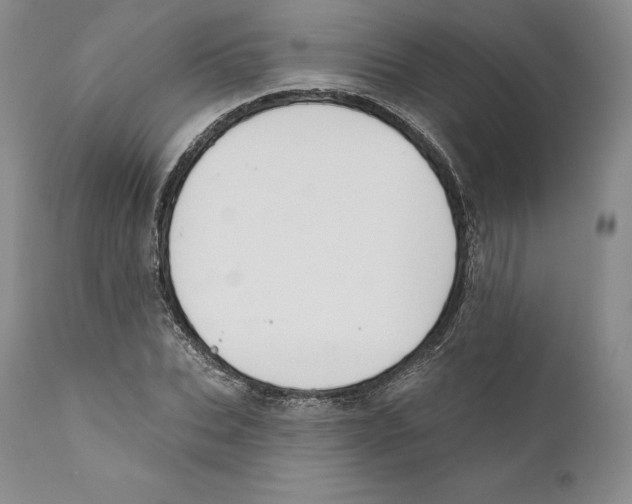 X0000110720927200907101400