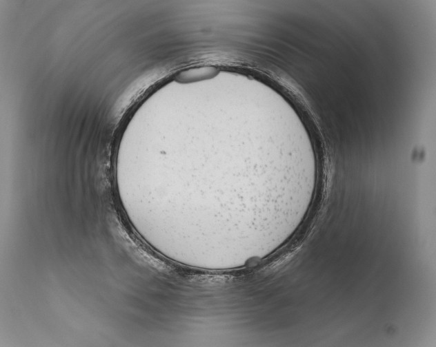 X0000110720930200907101400