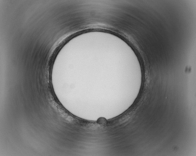 X0000110720931200907101400