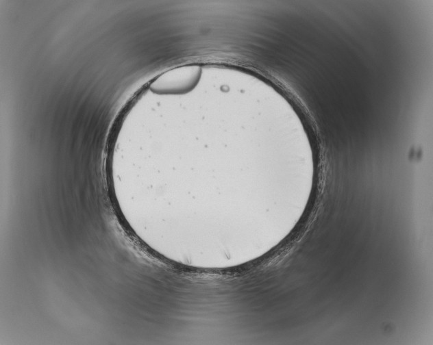 X0000110720932200907101400