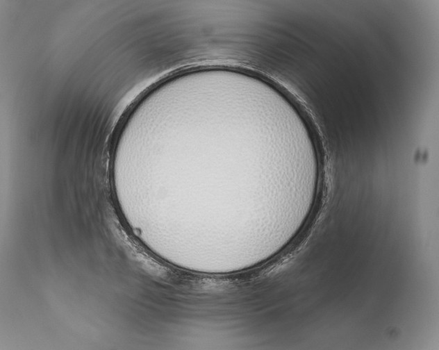 X0000110720933200907101400