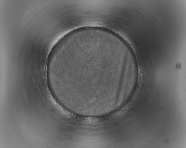 X0000110720935200907101401