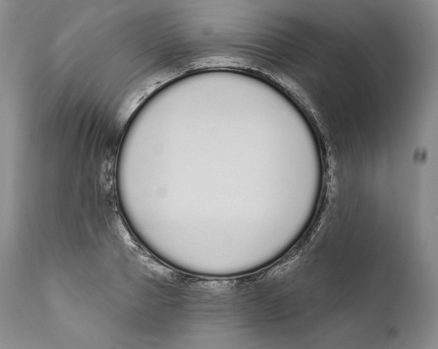 X0000110720937200907101401