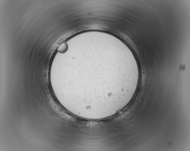 X0000110720938200907101401