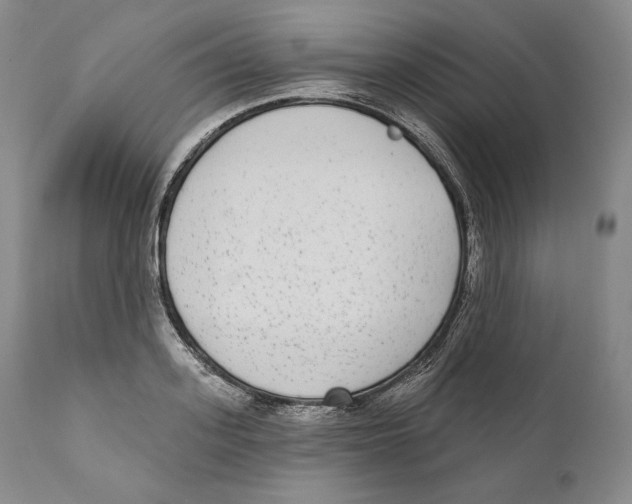 X0000110720939200907101401