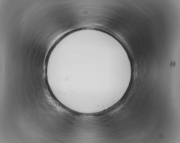 X0000110720940200907101401