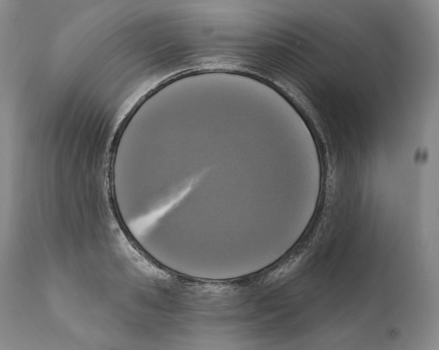 X0000110720941200907101401