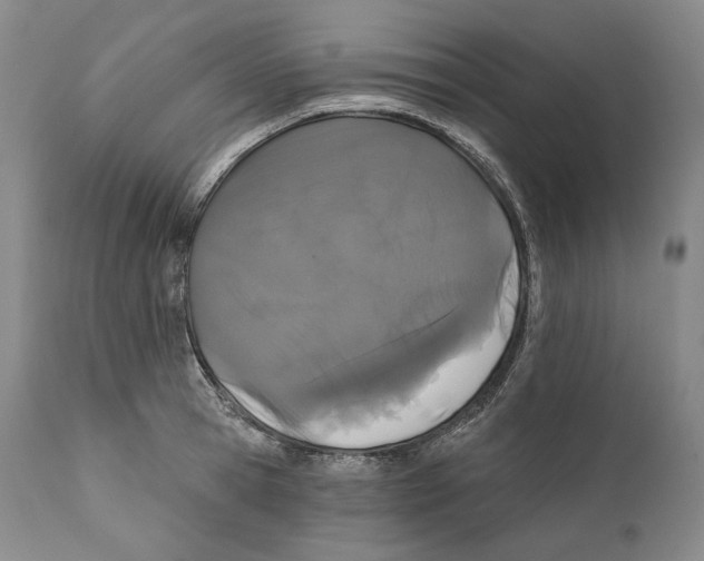 X0000110720945200907101401