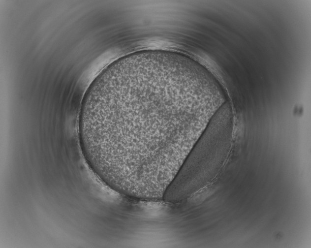 X0000110720946200907101401