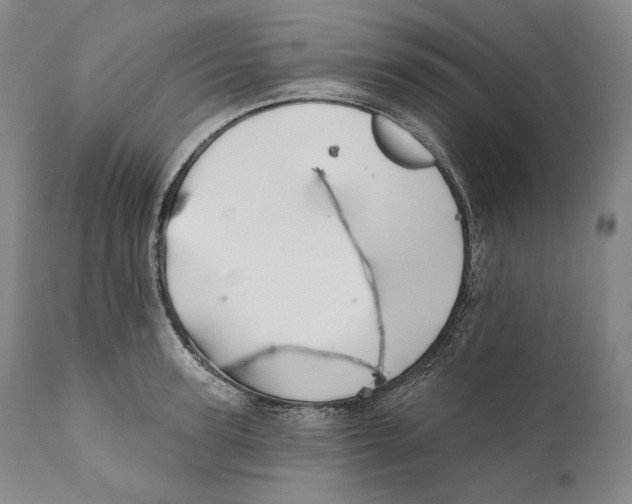 X0000110720947200907101401