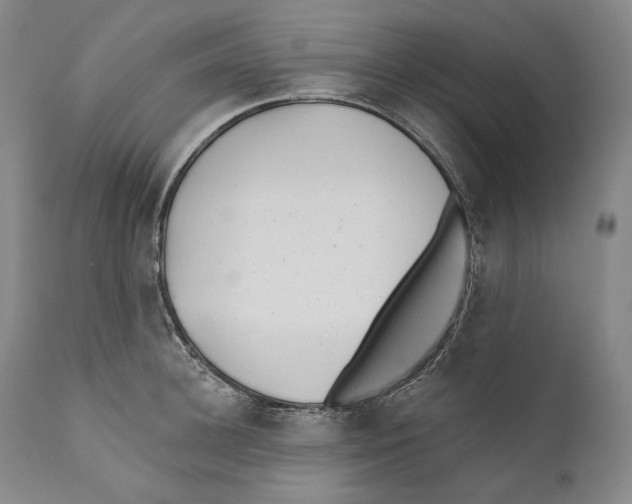 X0000110720948200907101401