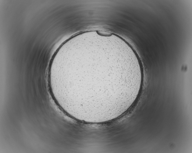 X0000110720949200907101401