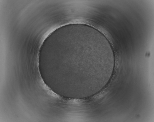 X0000110720950200907101401