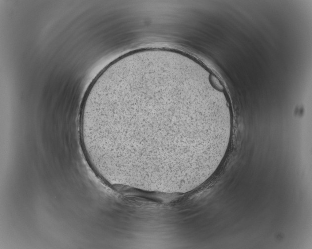 X0000110720951200907101401