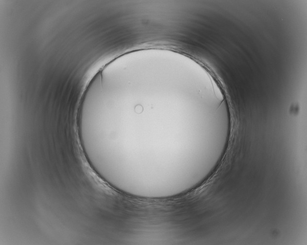 X0000110720952200907101401